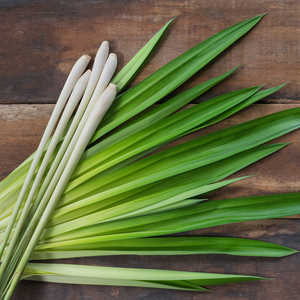 Organic Lemongrass Pure Essential Oil