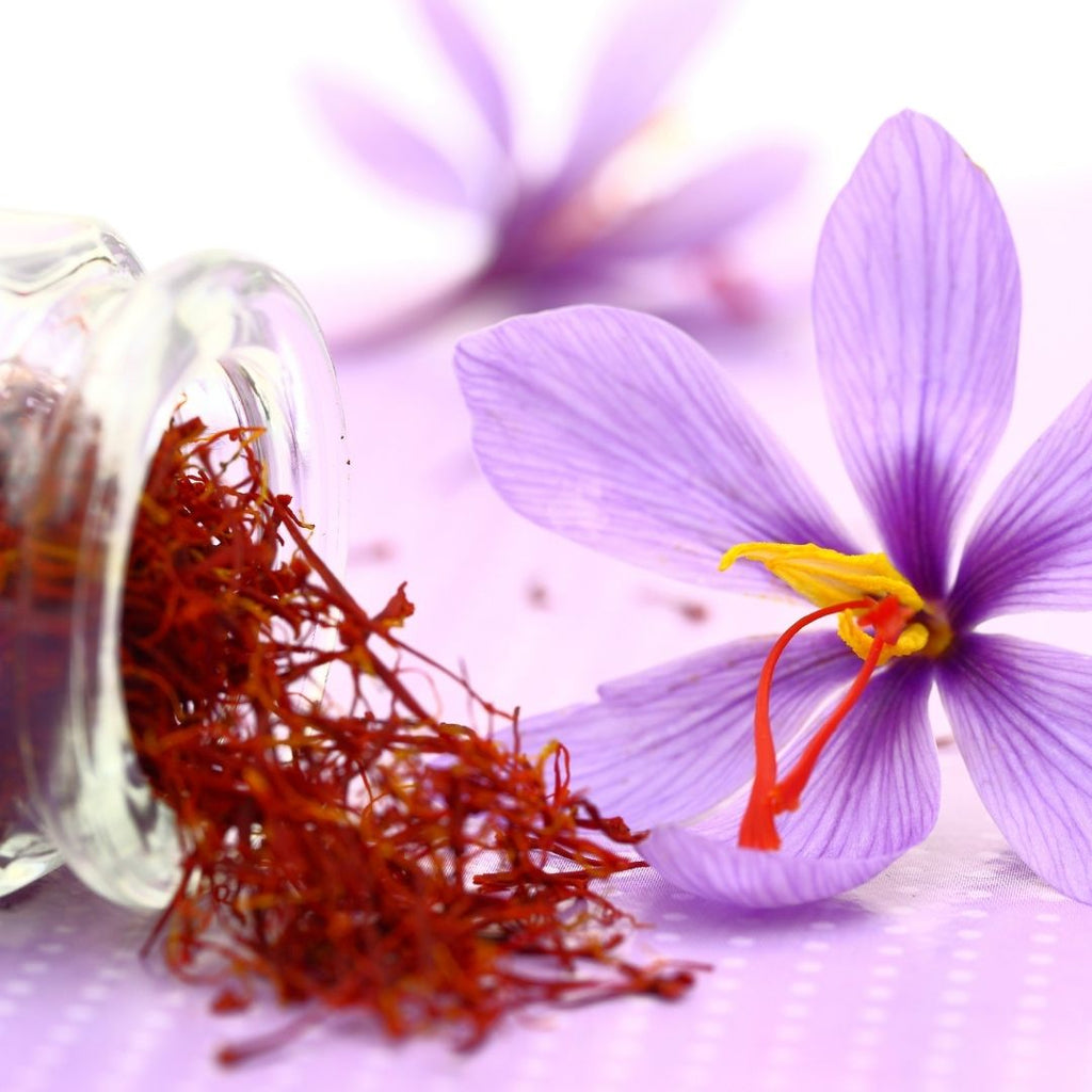 Organic Saffron Essential Oil (Pure / Jojoba Blend)