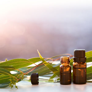 Eucalyptus Pure Essential Oil